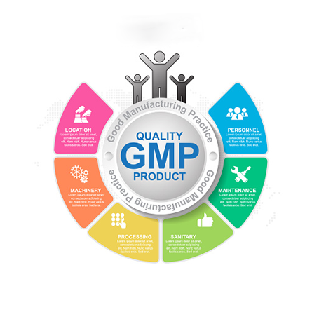 Chứng nhận GMP