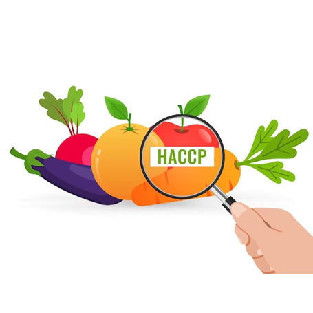 Dịch vụ Tư vấn - Chứng nhận HACCP (An toàn thực phẩm)